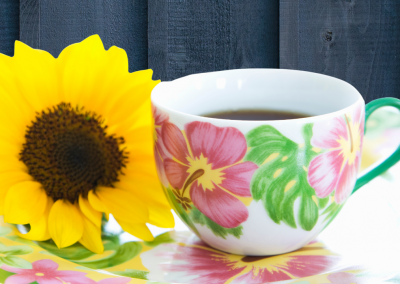 Albacete, 27 Febrero 2026